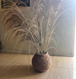 Coir Flower Vase Awcendikia